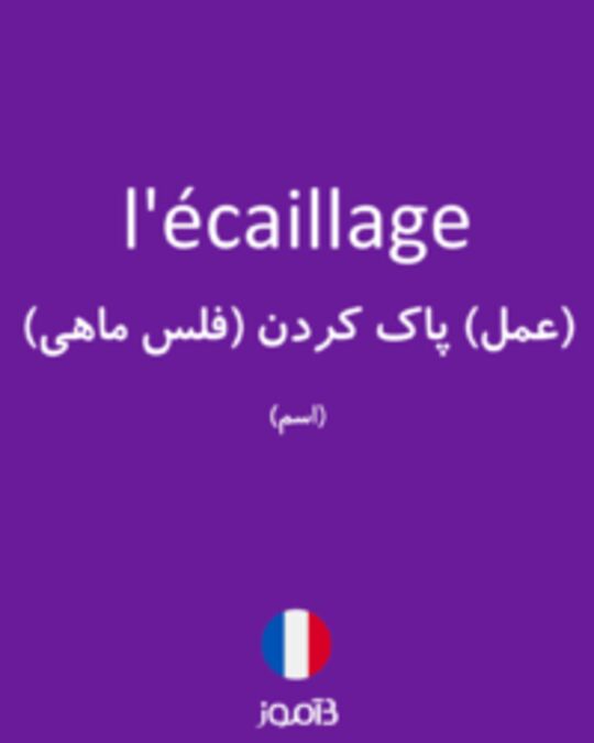  تصویر l'écaillage - دیکشنری انگلیسی بیاموز