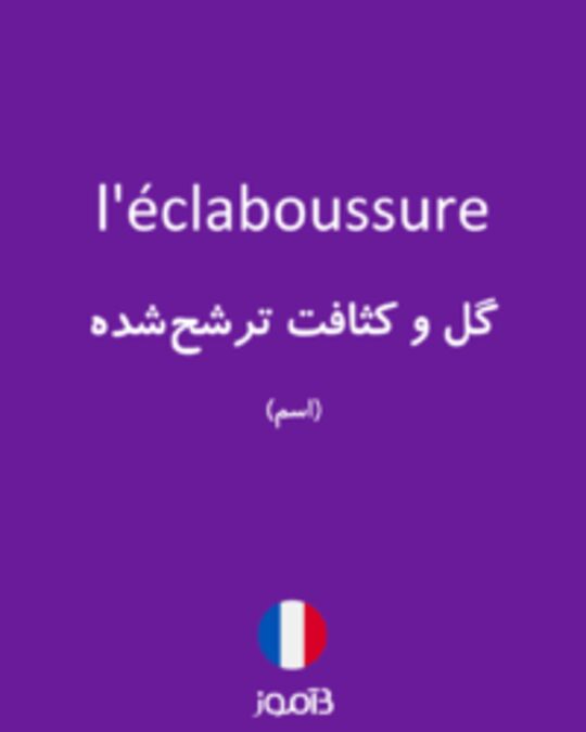  تصویر l'éclaboussure - دیکشنری انگلیسی بیاموز