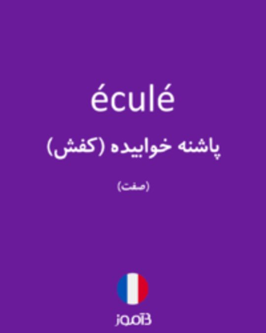  تصویر éculé - دیکشنری انگلیسی بیاموز