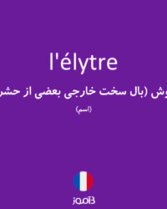  تصویر l'élytre - دیکشنری انگلیسی بیاموز