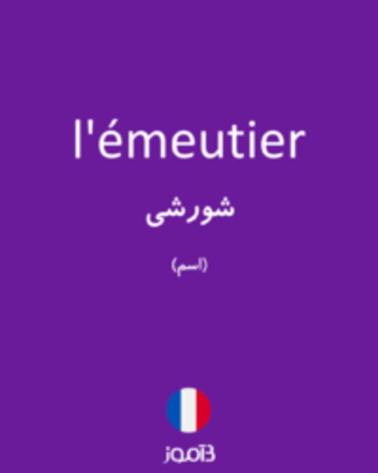  تصویر l'émeutier - دیکشنری انگلیسی بیاموز