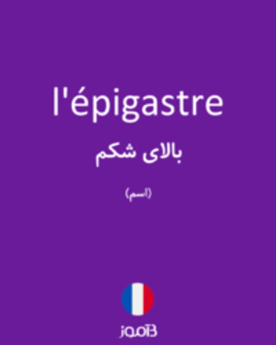  تصویر l'épigastre - دیکشنری انگلیسی بیاموز