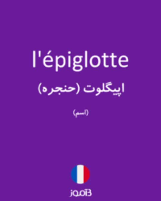  تصویر l'épiglotte - دیکشنری انگلیسی بیاموز