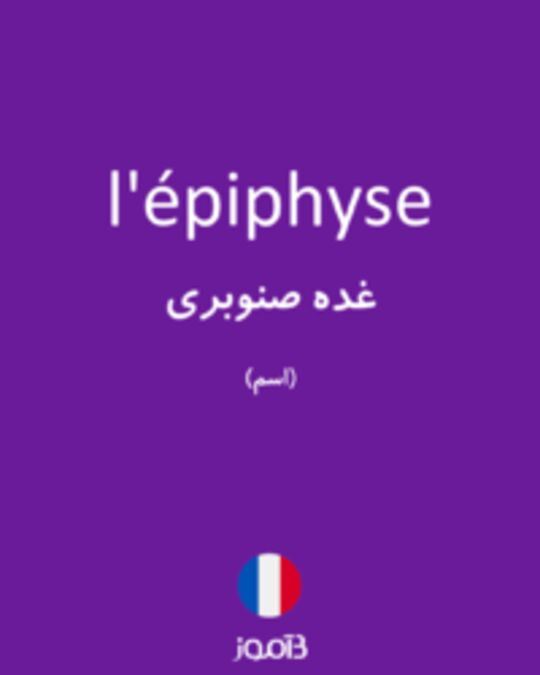  تصویر l'épiphyse - دیکشنری انگلیسی بیاموز