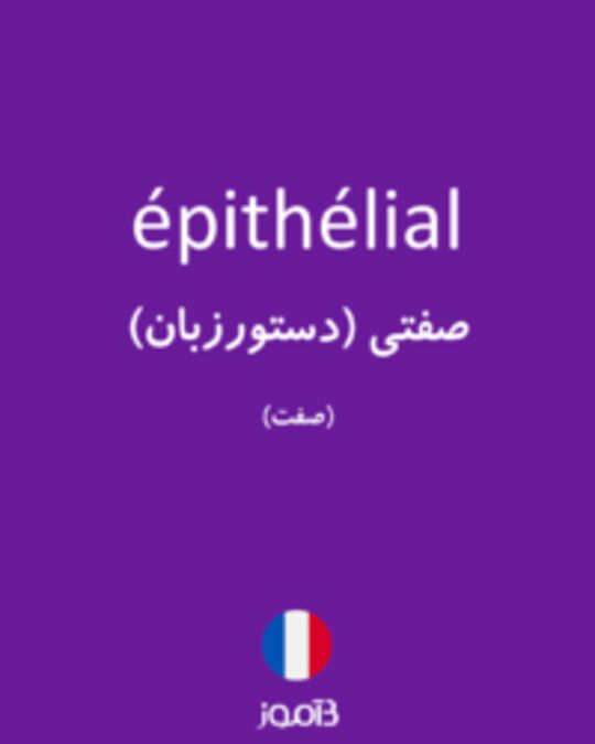  تصویر épithélial - دیکشنری انگلیسی بیاموز