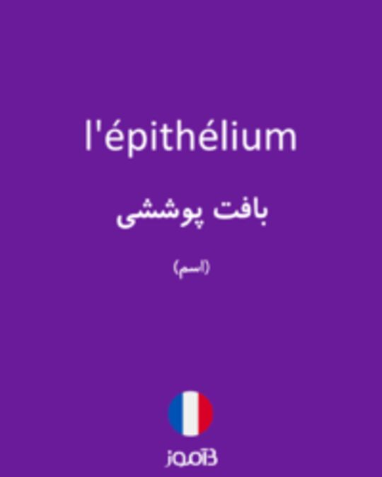  تصویر l'épithélium - دیکشنری انگلیسی بیاموز