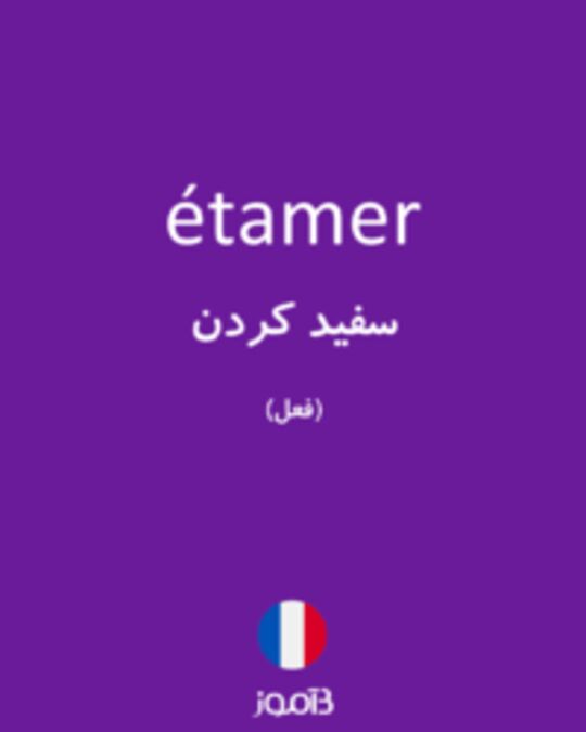  تصویر étamer - دیکشنری انگلیسی بیاموز