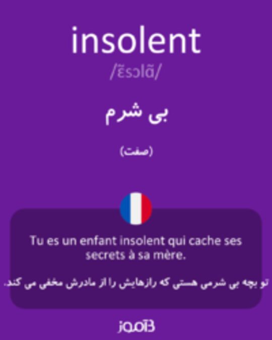  تصویر insolent - دیکشنری انگلیسی بیاموز