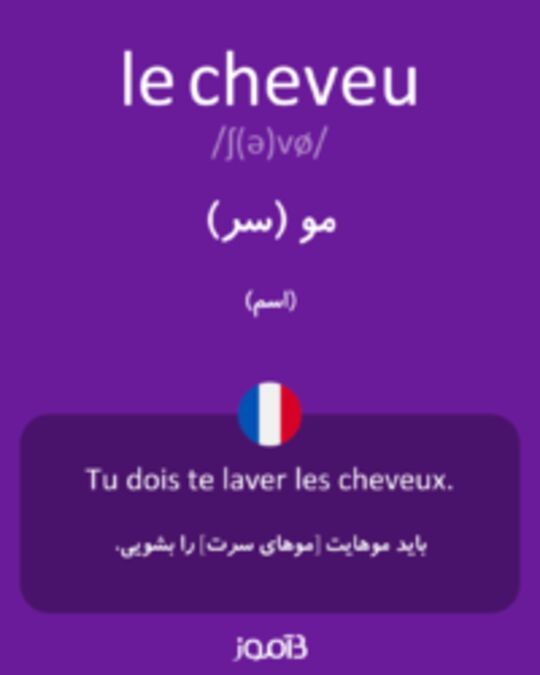  تصویر le cheveu - دیکشنری انگلیسی بیاموز