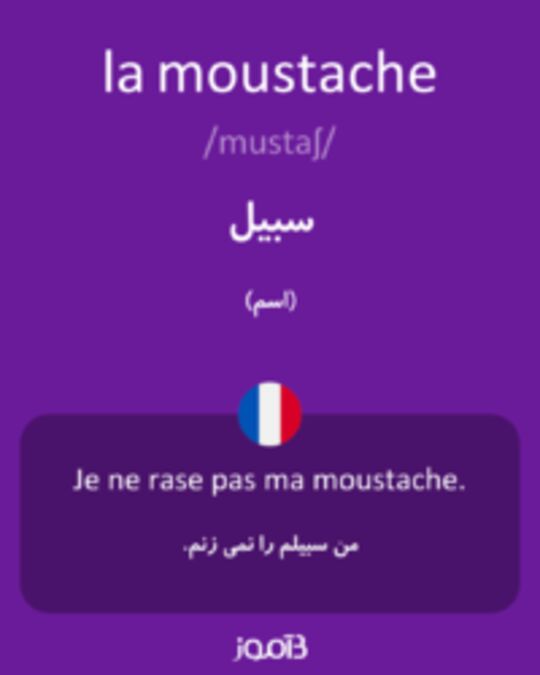  تصویر la moustache - دیکشنری انگلیسی بیاموز