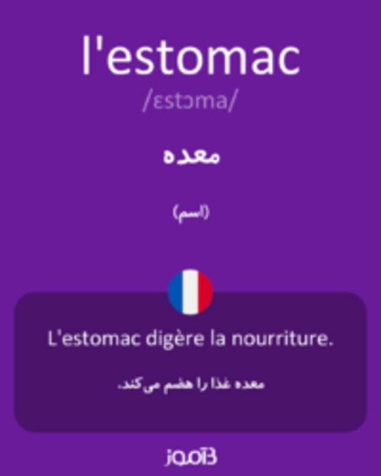  تصویر l'estomac - دیکشنری انگلیسی بیاموز