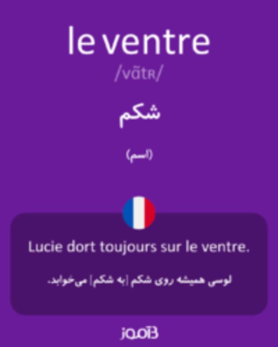  تصویر le ventre - دیکشنری انگلیسی بیاموز