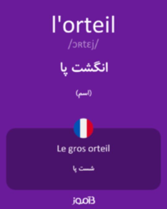  تصویر l'orteil - دیکشنری انگلیسی بیاموز