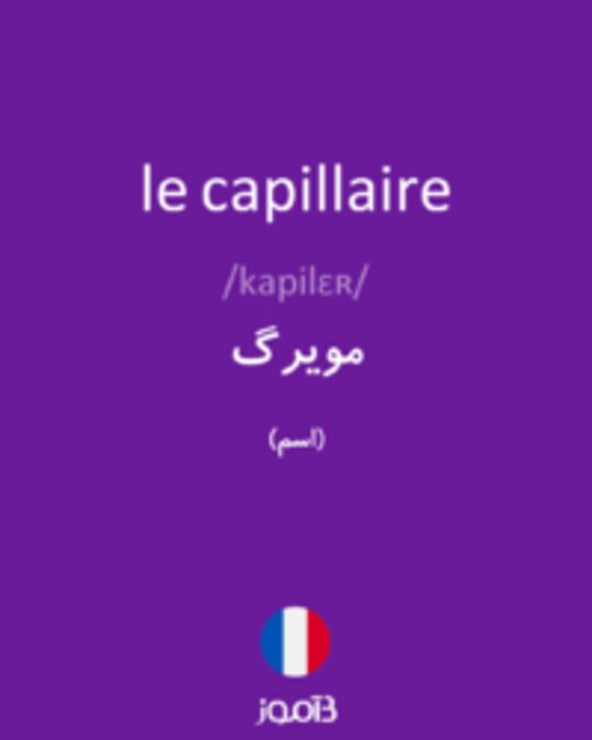  تصویر le capillaire - دیکشنری انگلیسی بیاموز