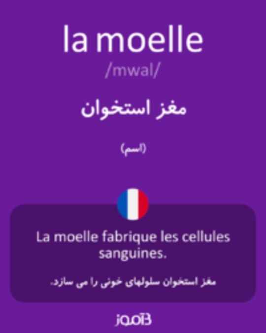  تصویر la moelle - دیکشنری انگلیسی بیاموز