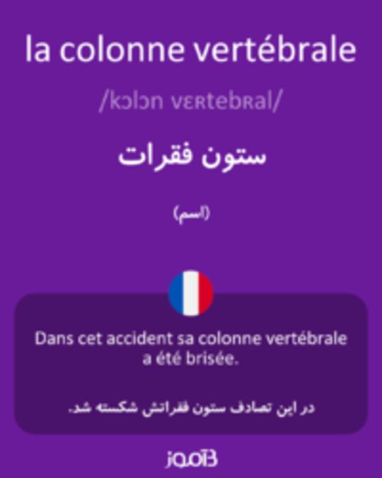  تصویر la colonne vertébrale - دیکشنری انگلیسی بیاموز