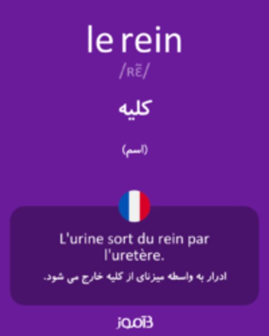  تصویر le rein - دیکشنری انگلیسی بیاموز