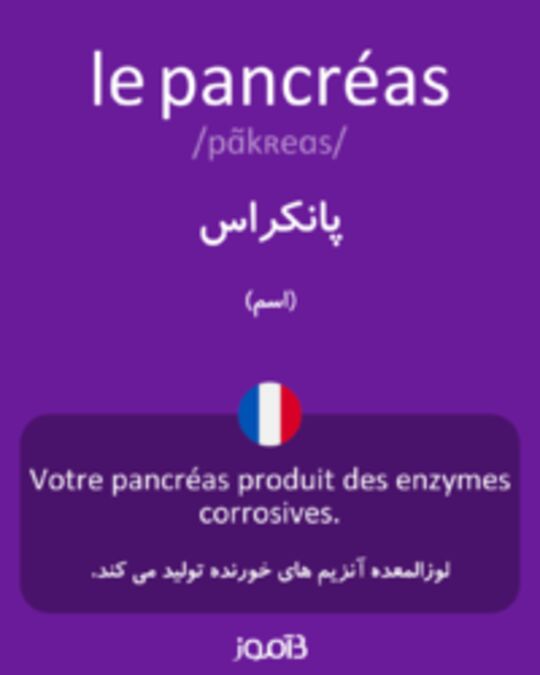  تصویر le pancréas - دیکشنری انگلیسی بیاموز