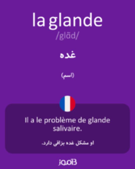  تصویر la glande - دیکشنری انگلیسی بیاموز