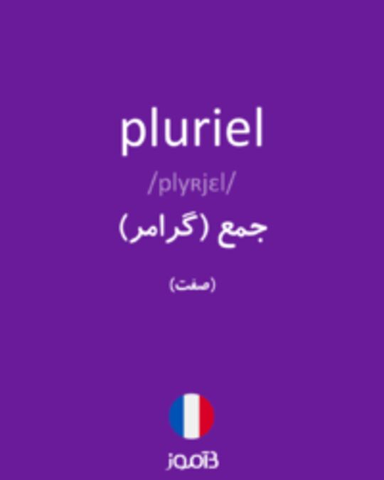  تصویر pluriel - دیکشنری انگلیسی بیاموز