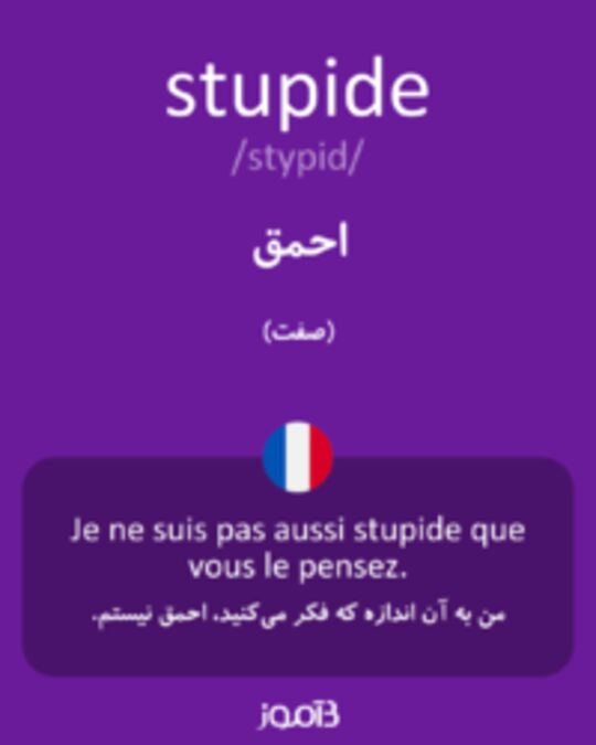  تصویر stupide - دیکشنری انگلیسی بیاموز