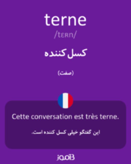  تصویر terne - دیکشنری انگلیسی بیاموز