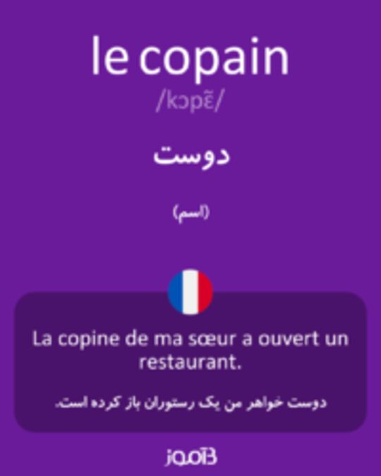  تصویر le copain - دیکشنری انگلیسی بیاموز