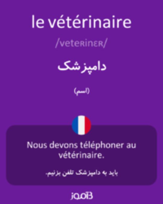  تصویر le vétérinaire - دیکشنری انگلیسی بیاموز