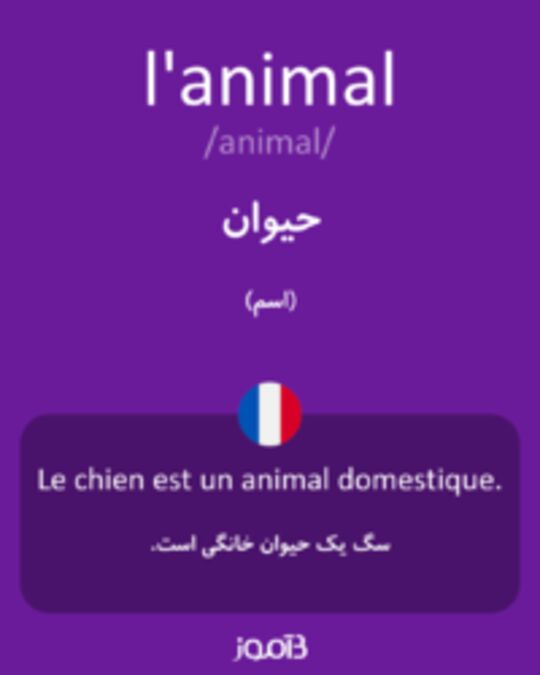  تصویر l'animal - دیکشنری انگلیسی بیاموز