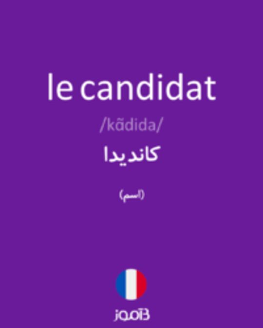  تصویر le candidat - دیکشنری انگلیسی بیاموز