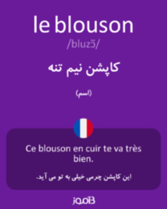  تصویر le blouson - دیکشنری انگلیسی بیاموز