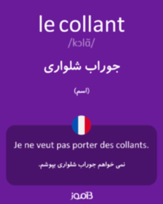  تصویر le collant - دیکشنری انگلیسی بیاموز