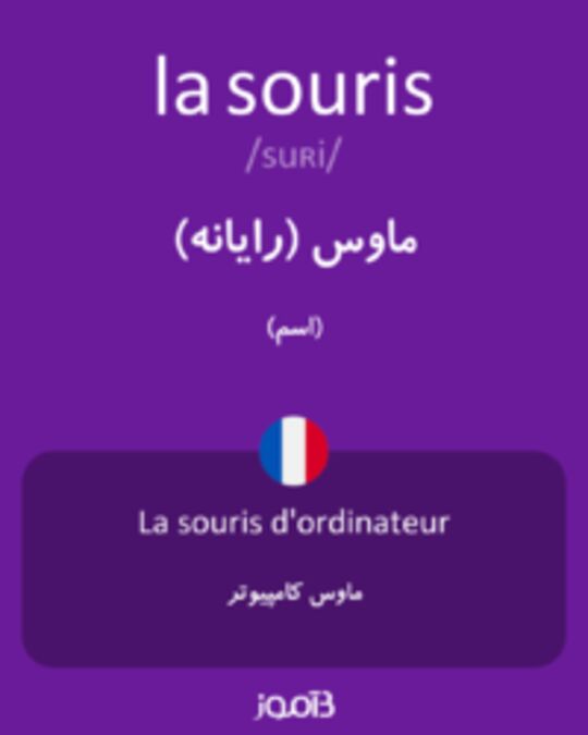  تصویر la souris - دیکشنری انگلیسی بیاموز