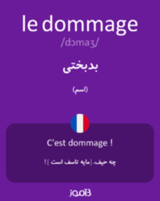  تصویر le dommage - دیکشنری انگلیسی بیاموز