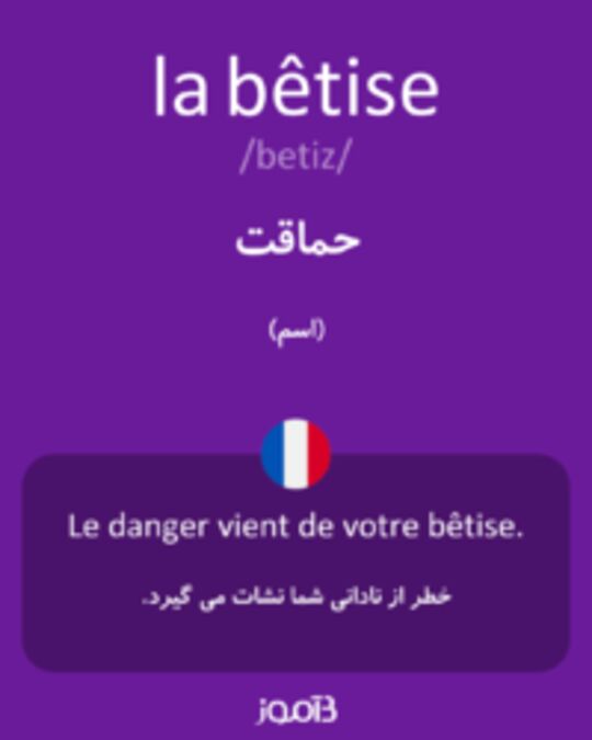  تصویر la bêtise - دیکشنری انگلیسی بیاموز