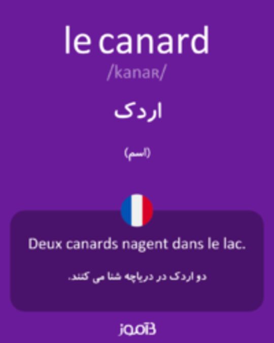  تصویر le canard - دیکشنری انگلیسی بیاموز