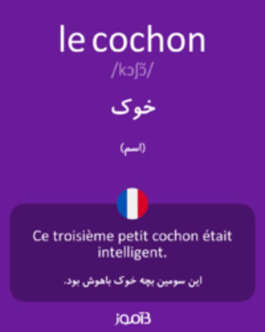  تصویر le cochon - دیکشنری انگلیسی بیاموز