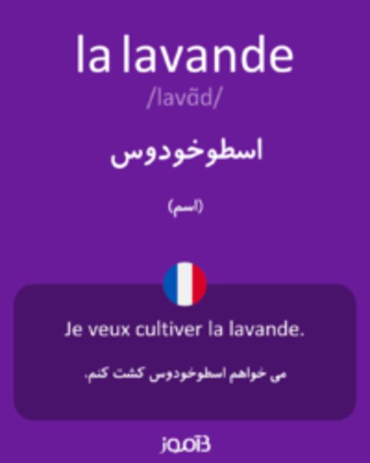  تصویر la lavande - دیکشنری انگلیسی بیاموز