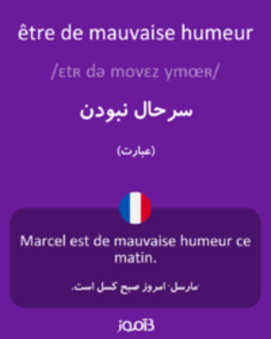  تصویر être de mauvaise humeur - دیکشنری انگلیسی بیاموز