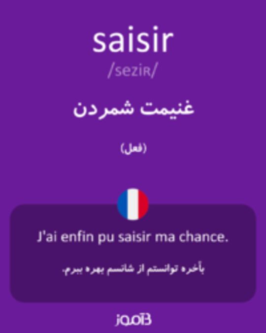  تصویر saisir - دیکشنری انگلیسی بیاموز