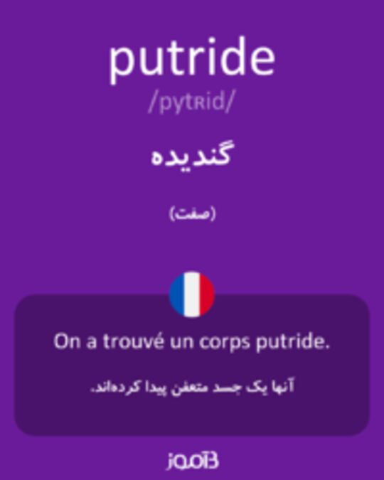  تصویر putride - دیکشنری انگلیسی بیاموز