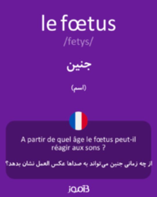  تصویر le fœtus - دیکشنری انگلیسی بیاموز