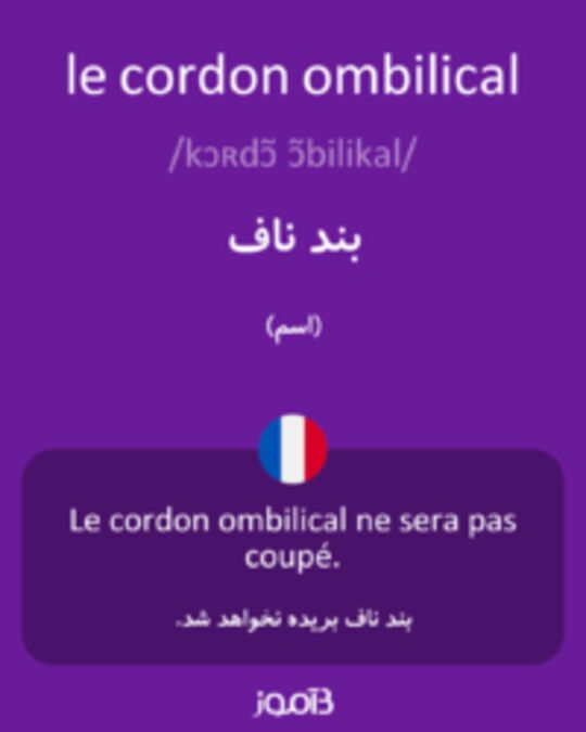  تصویر le cordon ombilical - دیکشنری انگلیسی بیاموز