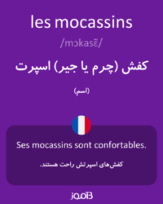  تصویر les mocassins - دیکشنری انگلیسی بیاموز