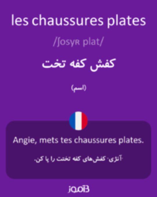  تصویر les chaussures plates - دیکشنری انگلیسی بیاموز