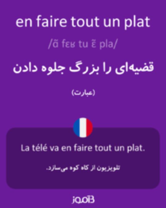  تصویر en faire tout un plat - دیکشنری انگلیسی بیاموز