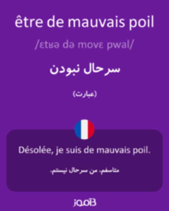  تصویر être de mauvais poil - دیکشنری انگلیسی بیاموز