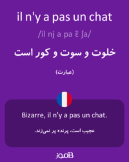  تصویر il n'y a pas un chat - دیکشنری انگلیسی بیاموز