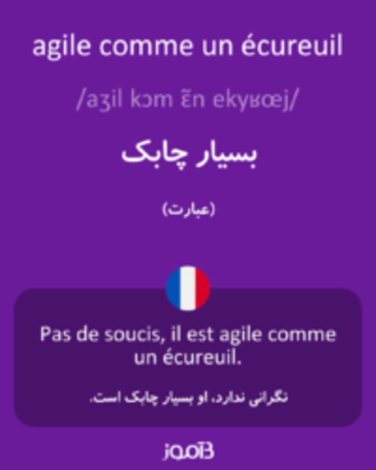  تصویر agile comme un écureuil - دیکشنری انگلیسی بیاموز