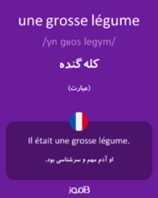  تصویر une grosse légume - دیکشنری انگلیسی بیاموز